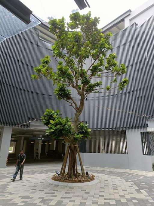 Cozy Sky Trees Bukit Indah Netflix And Amenities B06 *